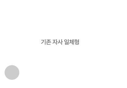 기존 자사 일체형 파스