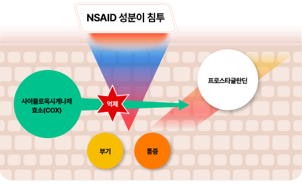 NSAID파스 원리